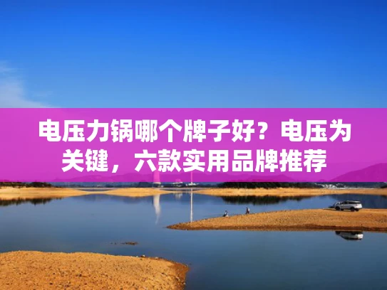 电压力锅哪个牌子好？电压为关键，六款实用品牌推荐