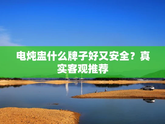 电炖盅什么牌子好又安全？真实客观推荐