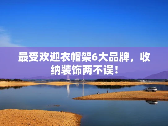 最受欢迎衣帽架6大品牌，收纳装饰两不误！