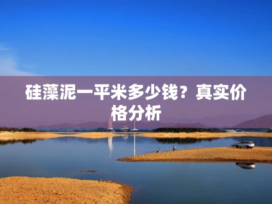 硅藻泥一平米多少钱？真实价格分析
