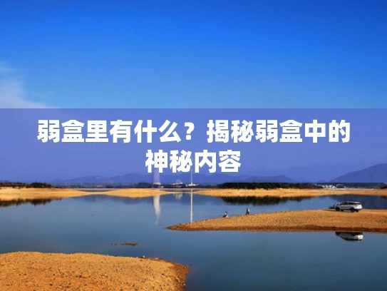 弱盒里有什么？揭秘弱盒中的神秘内容