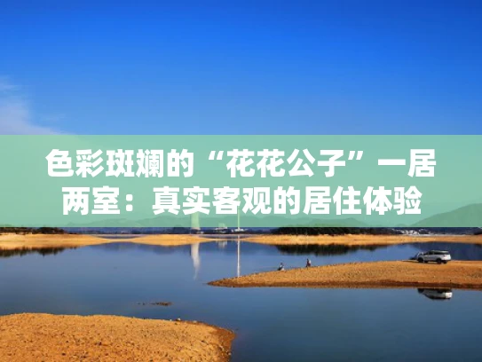 色彩斑斓的“****”一居两室：真实客观的居住体验