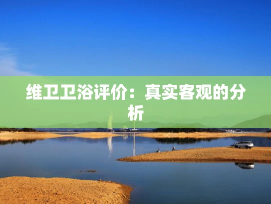 维卫卫浴评价：真实客观的分析