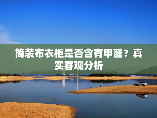 简装布衣柜是否含有甲醛？真实客观分析