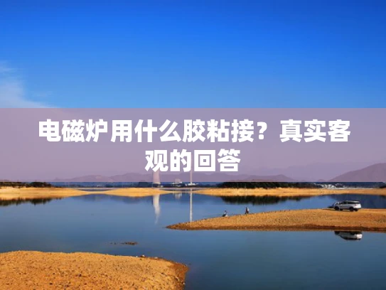 电磁炉用什么胶粘接？真实客观的回答