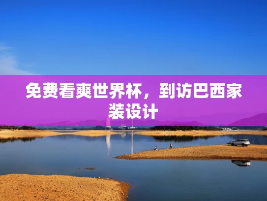 免费看爽世界杯，到访巴西家装设计