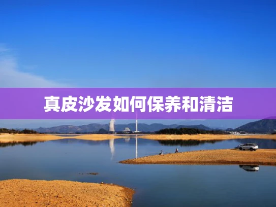 真皮沙发如何保养和清洁