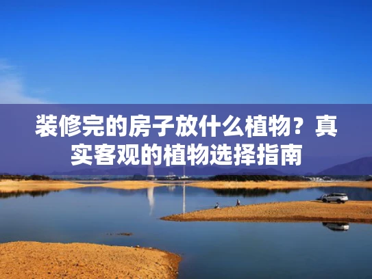 装修完的房子放什么植物？真实客观的植物选择指南