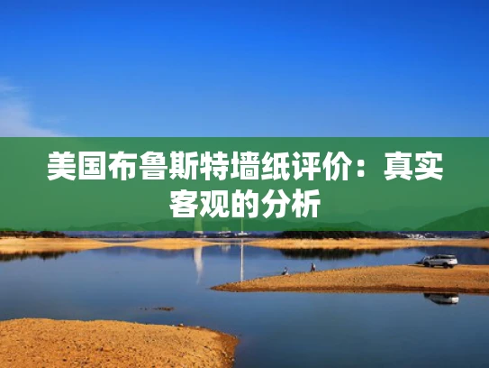 美国布鲁斯特墙纸评价：真实客观的分析