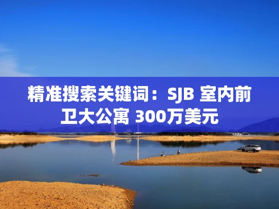 精准搜索关键词：SJB 室内前卫大公寓 300万美元