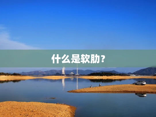 什么是软肋？