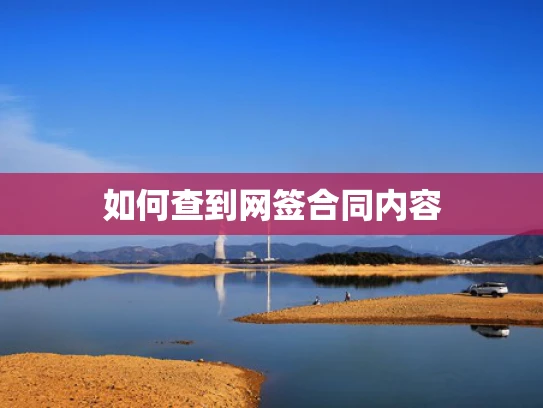 如何查到网签合同内容