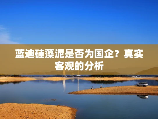 蓝迪硅藻泥是否为国企？真实客观的分析