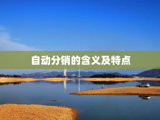 自动分销的含义及特点