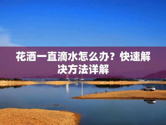 花洒一直滴水怎么办？快速解决方法详解