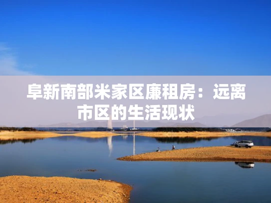 阜新南部米家区廉租房：远离市区的生活现状