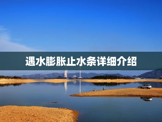 遇水膨胀止水条详细介绍