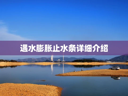遇水膨胀止水条详细介绍