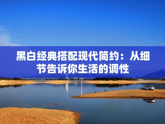 黑白经典搭配现代简约：从细节告诉你生活的调性
