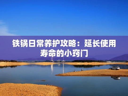 铁锅日常养护攻略：延长使用寿命的小窍门