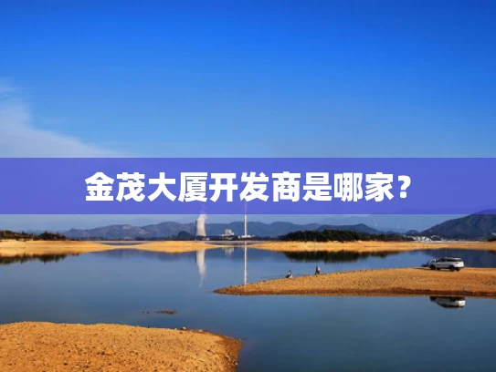 金茂大厦开发商是哪家？