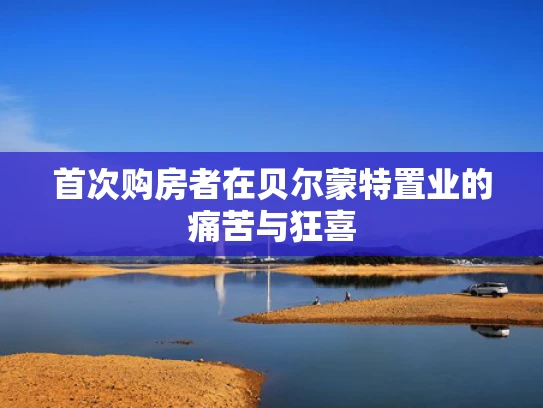 首次购房者在贝尔蒙特置业的痛苦与狂喜