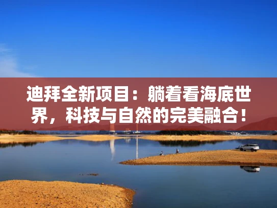 迪拜全新项目：躺着看海底世界，科技与自然的完美融合！