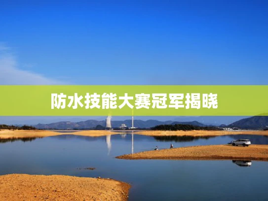 防水技能大赛冠军揭晓
