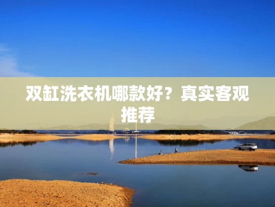 双缸洗衣机哪款好？真实客观推荐