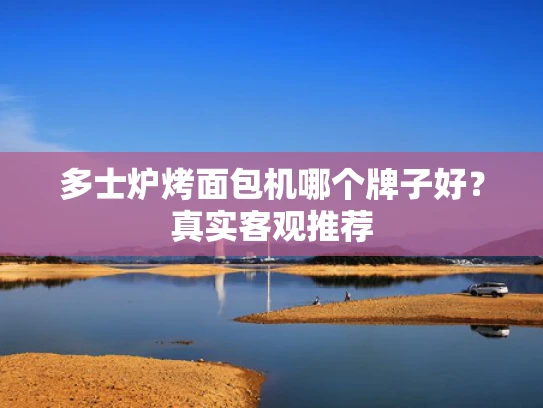 多士炉烤面包机哪个牌子好？真实客观推荐