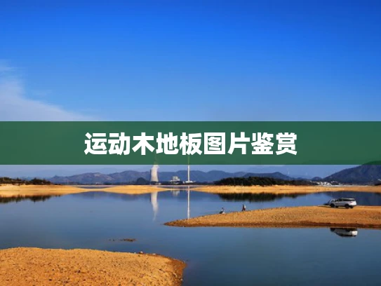 运动木地板图片鉴赏