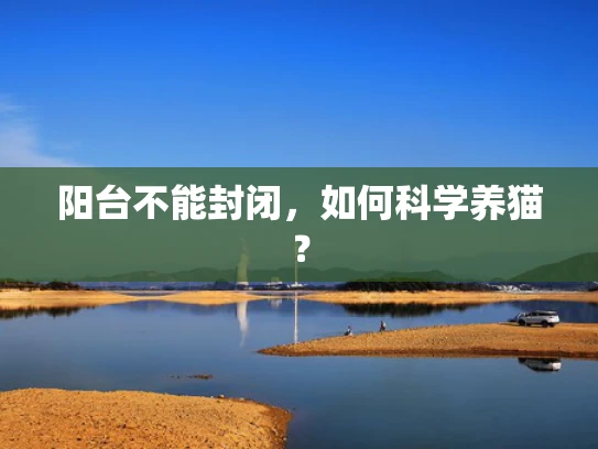 阳台不能封闭，如何科学养猫？