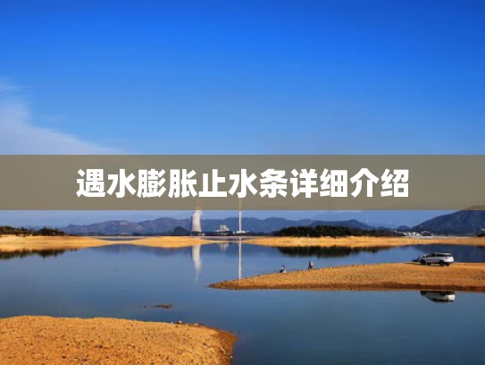 遇水膨胀止水条详细介绍