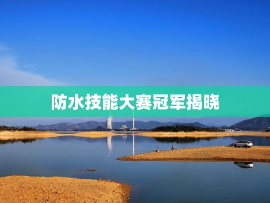 防水技能大赛冠军揭晓