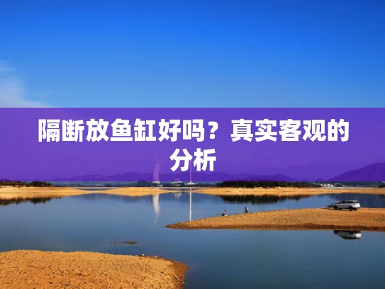 隔断放鱼缸好吗？真实客观的分析