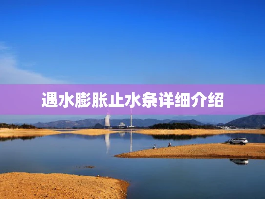 遇水膨胀止水条详细介绍