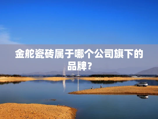 金舵瓷砖属于哪个公司旗下的品牌？