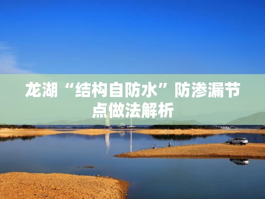 龙湖“结构自防水”防渗漏节点做法解析