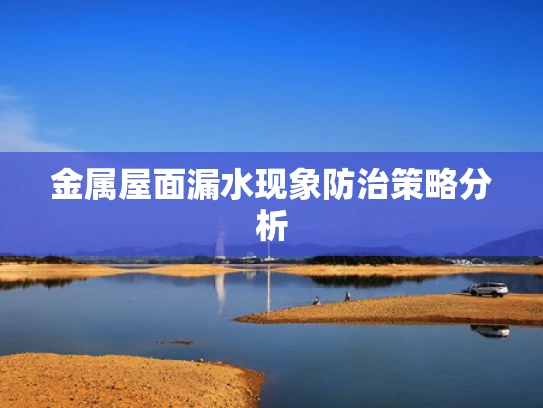 金属屋面漏水现象防治策略分析