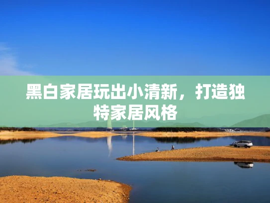 黑白家居玩出小清新，打造独特家居风格