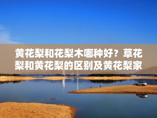 黄花梨和花梨木哪种好？草花梨和黄花梨的区别及黄花梨家具选购指南