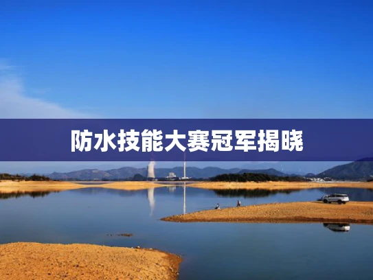 防水技能大赛冠军揭晓