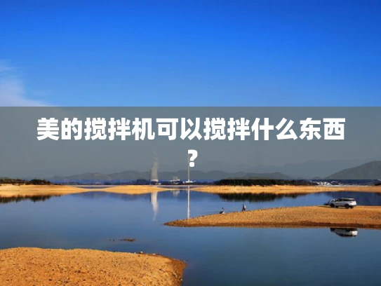 美的搅拌机可以搅拌什么东西？