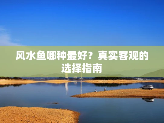 风水鱼哪种最好？真实客观的选择指南