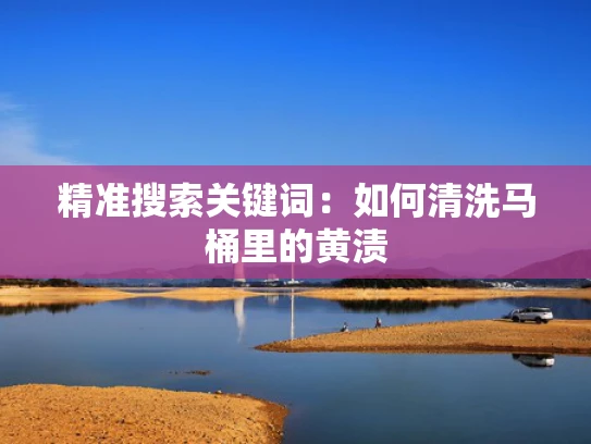 精准搜索关键词：如何清洗马桶里的黄渍