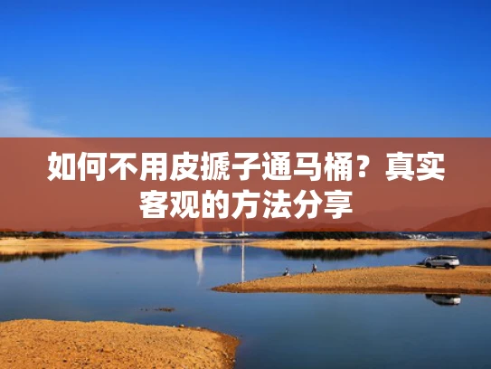 如何不用皮搋子通马桶？真实客观的方法分享