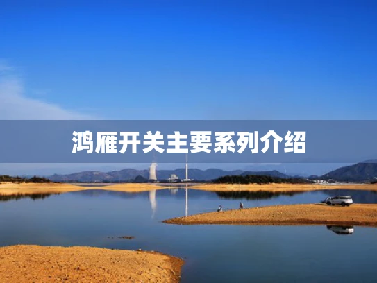 鸿雁开关主要系列介绍