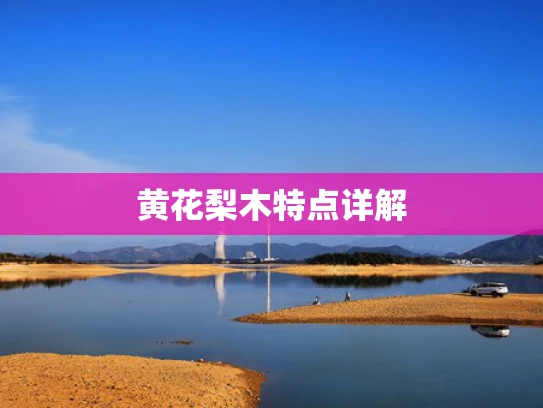 黄花梨木特点详解