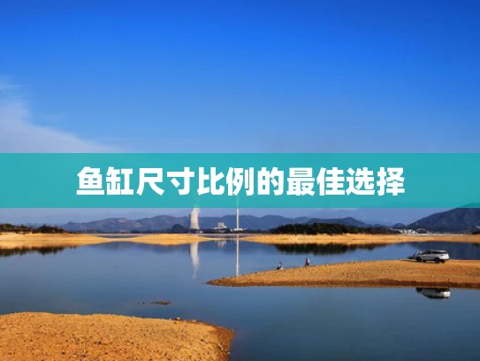 鱼缸尺寸比例的最佳选择