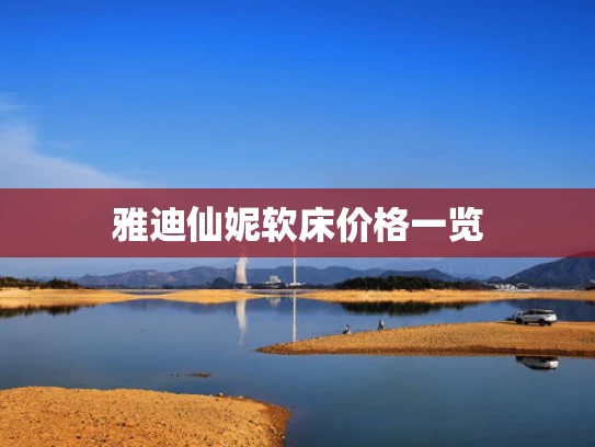 雅迪仙妮软床价格一览